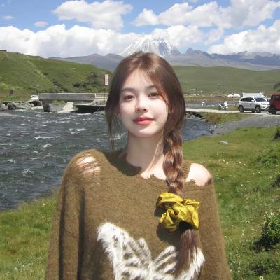 汉堡总动员2