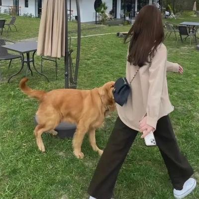 烈火中永生